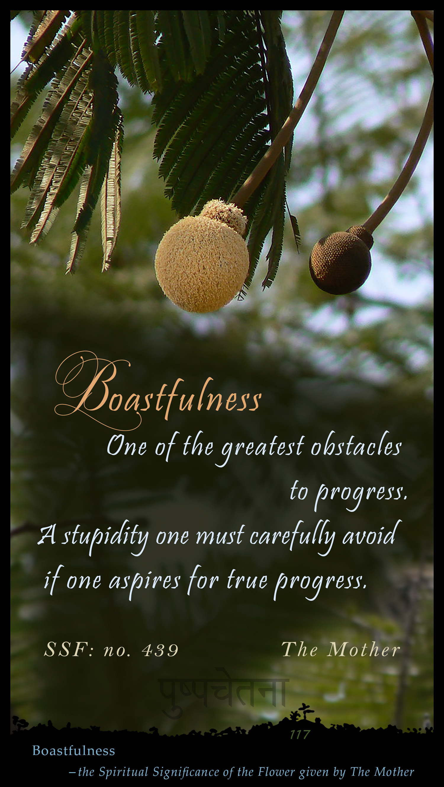Boastfulness